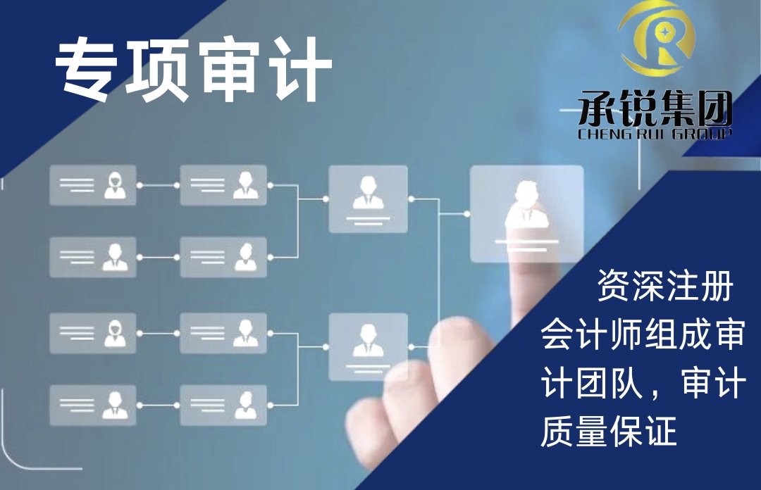 專項(xiàng)審計(jì)